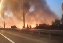 Под Ростовом на Дону горели свыше тысячи квадратных метров камыша (видео)