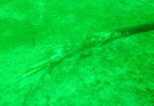 Подводная обсерватория бесследно исчезла со дна моря (фото)