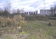 Муниципальная газета за деньги города посеяла панику среди нарвитян