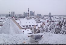 Таллинн в снегу. Фото Виктории Мисайлиди
