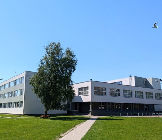 Солдинаская школа