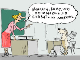 Карикатура газеты "Город"