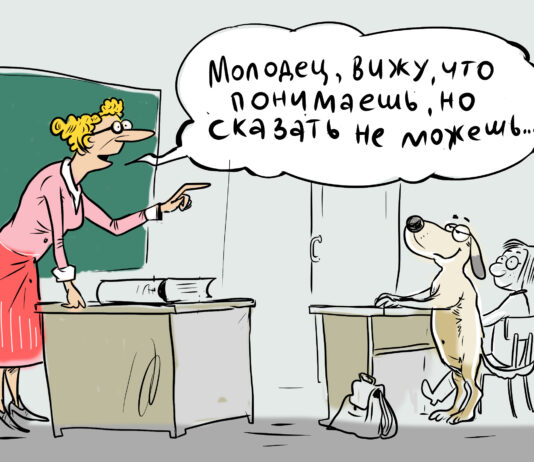 Карикатура газеты "Город"