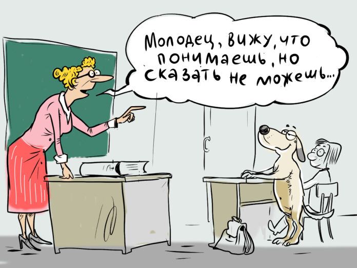 Карикатура газеты "Город"