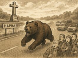 Увидел дикого зверя в черте города  – сообщи обязательно! Медведь в Нарве