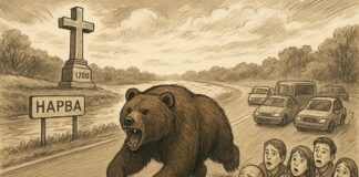 Медведь в Нарве