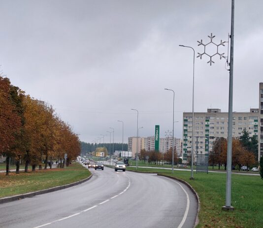 Кангеласте проспект, Нарва