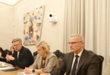 Руководитель полиции безопасности Марго Паллосон