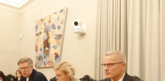 Руководитель полиции безопасности Марго Паллосон