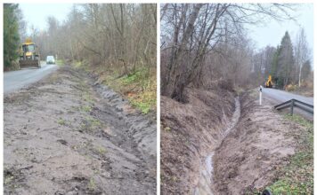 канавы в садах