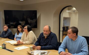 Коалиция Райк - Стальнухин