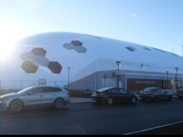 пневмохолл