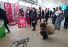 «Ориентир 2026»: молодежь выбирала будущее Ориентир 2026 робособака