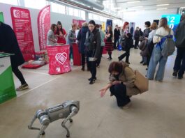 «Ориентир 2026»: молодежь выбирала будущее Ориентир 2026 робособака