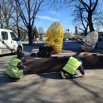 Весенняя уборка 2026