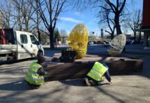 Весенняя уборка 2026