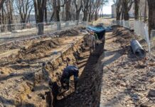 в Темном саду работают археологи