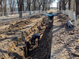 в Темном саду работают археологи