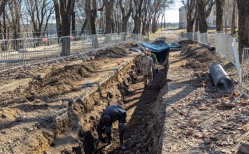 в Темном саду работают археологи