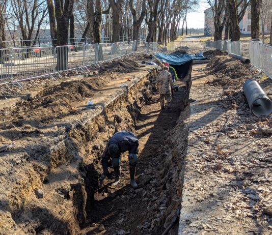 Строительные работы в Темном саду продолжатся после завершения археологического исследования в Темном саду работают археологи