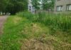 В Нарве приняли меры для того, чтобы городские газоны были аккуратнее газоны, покос травы