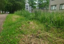 В Нарве приняли меры для того, чтобы городские газоны были аккуратнее газоны, покос травы