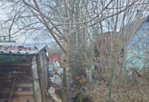 «Если хотим перестать тонуть, работать должны все»